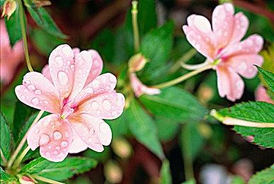 既生瑜何生亮！《光与影：33号远征队》自嘲撞车《上古卷轴4：湮灭重制版》