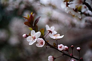 恐怖冒险游戏《不要害怕》PS4版将于今日发售 官方发布预告片